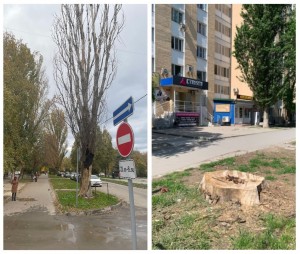 Безопасность жителей на контроле у депутата Сергея Асташкина